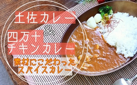 四万十 チキンカレー 土佐カレー 各3食 カレー カレー カレー カレー カレー ［1596-3］