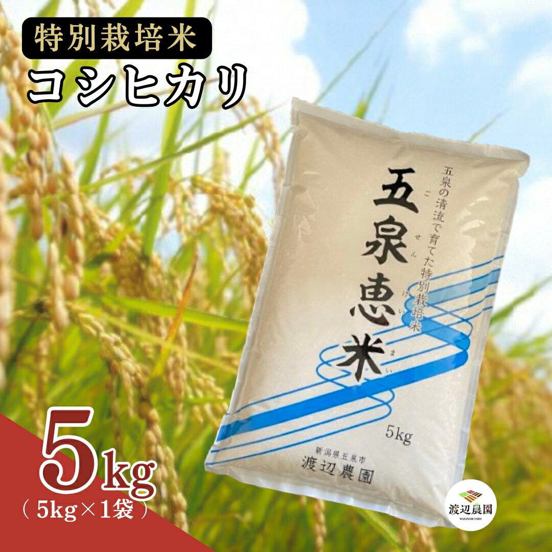 【ふるさと納税】令和7年産新米 特別栽培米コシヒカリ 精米 5kg (5kg×1袋) 選べる配送回数 先行予約 新潟県 五泉市 渡辺農園