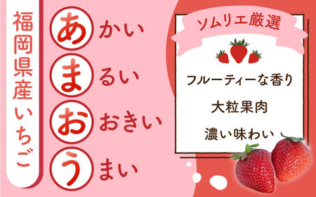 【果肉ごろっと】 あまおう 苺ジャム 180g×3個 吉富町/南国フルーツ株式会社[BGAG021]
