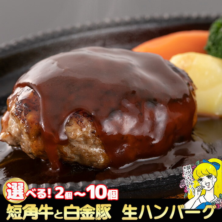 【ふるさと納税】短角牛と白金豚生ハンバーグ【マルカンビル大食堂料理長監修】≪選べる内容量 2個入り 5個入り 10個入り≫ 豚肉 牛肉 ブランド肉