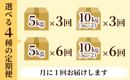 【定期便6回】丹波美人 白米 10kg（5kg×2）×6回 / 米 白米 定期便 綾部市 / 有限会社カメイ［BSDY052］