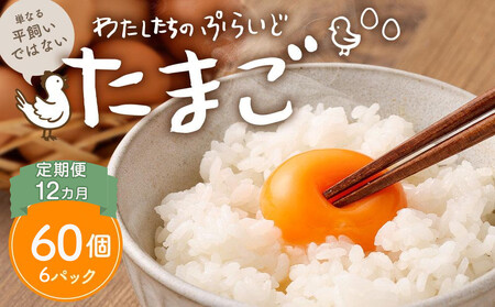 【定期便：12か月】【食べチョクアワード2025 畜産部門 1位の日本一のたまご】単なる平飼いではない『わたしたちのぷらいどたまご』6パック（60個）セット