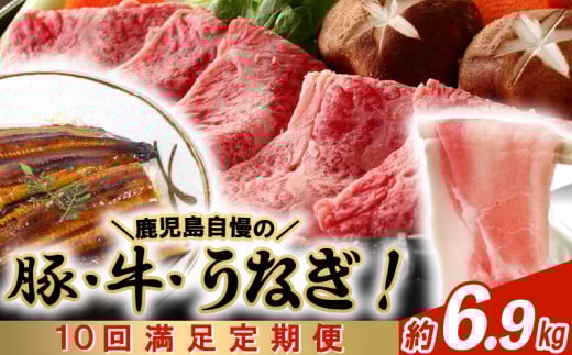 
【全10回】鹿児島自慢の豚・牛・うなぎ!10回満足定期便 027-40
