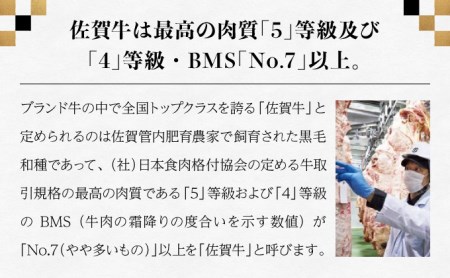 佐賀牛セット 年4回定期便コース(3人前) H-194