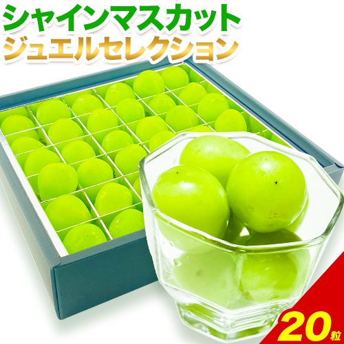 シャインマスカット ジュエルセレクション 20粒 [2026年先行予約] ぶどう 岡山県産《2026年9月上旬-10月末頃出荷(土日祝除く)》 ハレノフルーツ マスカット 送料無料 岡山県 浅口市 フルーツ 果物 贈り物 ギフト 国産 岡山県産【配送不可地域あり】