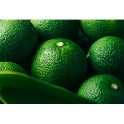 ふるさと納税 日向市 宮崎 100%ストレート へべす果汁 1L |  | 01