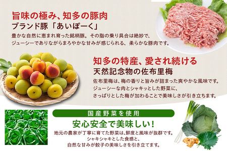 知多の梅しそ餃子 餃子 愛知県産 ご当地餃子 国産 生餃子 梅 梅しそ おかず ぎょうざ ギョウザ 冷凍食品 お惣菜 豚肉 中華 点心 お取り寄せ おつまみ 国産野菜 贈答用 便利 焼くだけ お手軽 