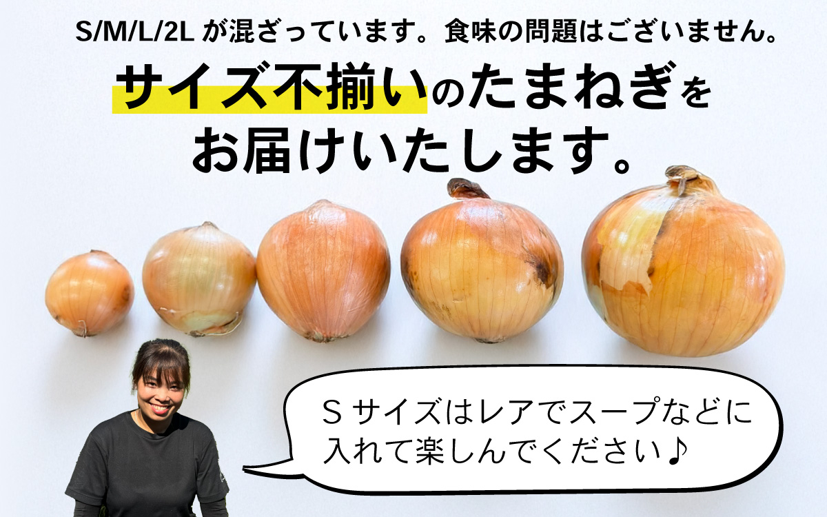 【先行予約】 淡路島 貯蔵玉ねぎ 6kg 訳あり サイズ不揃い 簡易箱でお届け ／ 不揃い サイズ 混合 ミックス S M L 2L 玉ねぎ タマネギ オニオン スライス サラダ ハンバーグ 肉じゃが