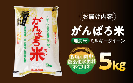 ＼お申込みは12月31日まで！／令和7年産 栽培期間中農薬化学肥料不使用米 無洗米 ミルキークイーン 5kg がんばろ米 [AZBW007] 新米無洗米 期間限定