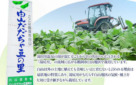 数量限定【令和6年産先行予約】 白山だだちゃ豆　4kg+200g 鶴岡市白山産　長五郎