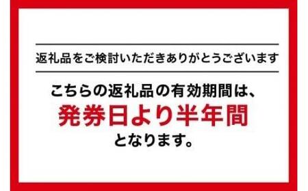 【1498】GINZA Global Style オーダースーツ商品券（30000円券）
