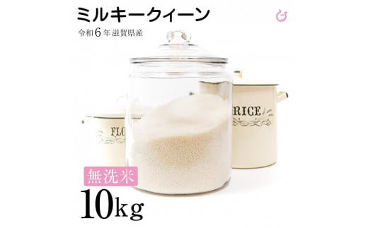 無洗米 令和6年 ミルキークィーン 10kg ( 5kg ×2袋 ) 彦根産 ミルキークイーン 米 お米 白米 無洗米 米10kg こめ コメ ご飯 飯 滋賀県 彦根市