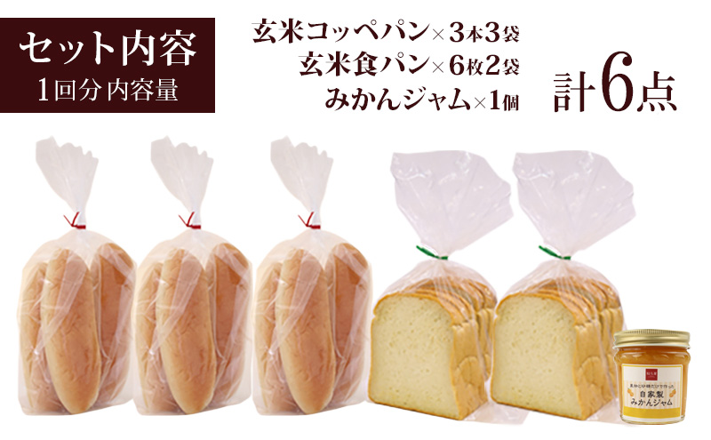 【3か月定期便】玄米パンと自家製みかんジャム（玄米食パ