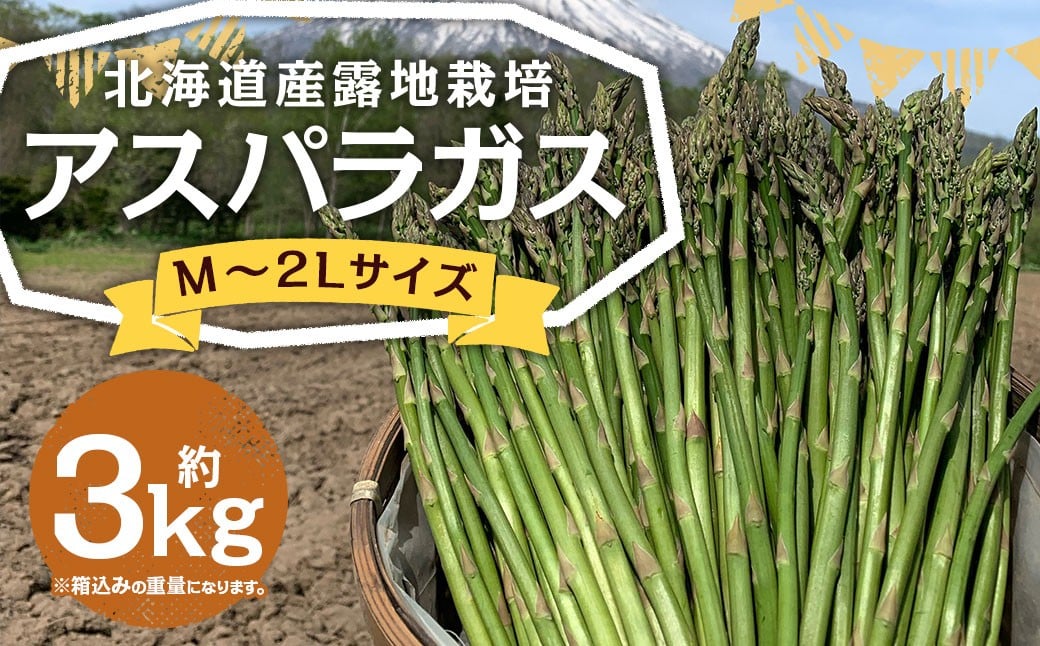 
            北海道産 露地栽培 アスパラガス M～2L 約3kg 【2026年5月下旬～6月上旬迄発送予定】 グリーンアスパラガス アスパラ 野菜 北海道 京極町 冷蔵
          