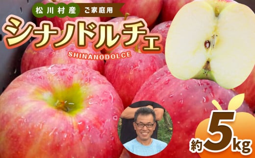 家庭用 シナノドルチェ 約5kg 【2026年先行予約】 ｜ 北條農園 リンゴ りんご 林檎 果物 フルーツ 果実 果汁 シナノドルチェ しなのドルチェ 家庭用 長野県 松川村 信州