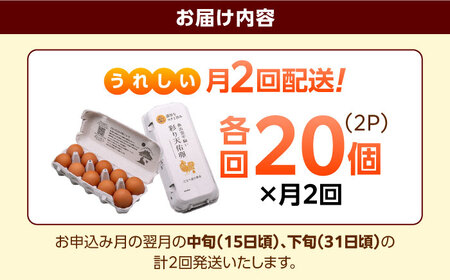 《月2回 × 20個 1ヶ月コース》 彩り天佑卵 全2回定期便 [AIDL020]