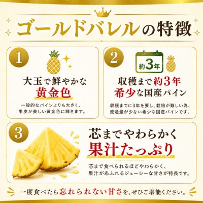 【2026年6月下旬から順次発送】今帰仁村パイン産地協議会 ゴールドバレル3.6kg(2～3玉)【配送不可地域：離島】