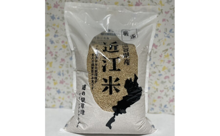 令和7年産　近江米コシヒカリ（玄米）5kg