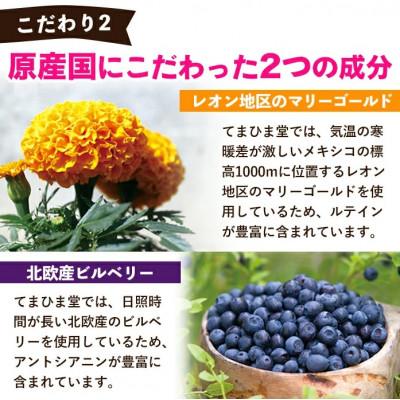 ふるさと納税 日置市 【てまひま堂】ルテイン&アントシアニン(1袋62粒入り×3袋)鹿児島　日置市　1日2粒目安 |  | 03