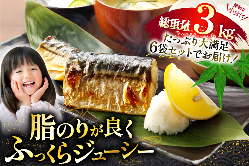 訳あり 骨取り トロ さば 切身 無添加 計3kg (500g×6p) 小分け 無塩[足利本店 宮城県 気仙沼市 20565813] さば 訳アリ 骨取 サバ 鯖 わけあり 鯖 トロサバ トロさば トロサバ