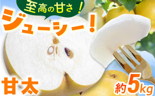【★先行予約★ 2027年9月中旬以降発送】梨（甘太）約5kg なし ナシ 梨 甘太 果物 くだもの 果汁 フルーツ デザート 旬 甘い 食感 丸い 産地直送 広川町 / JAふくおか八女農産物直売所どろや [AFAB061]