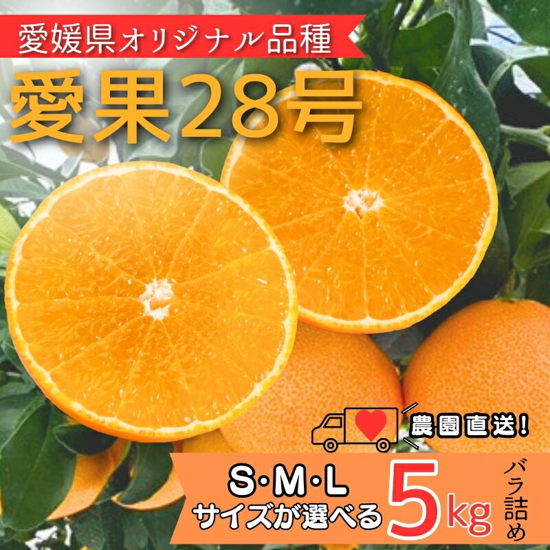 【ふるさと納税】みかん 愛果28号 5kg 紅まどんなと同一品種 【サイズが選べる】 Sサイズ Mサイズ Lサイズ バラ詰め 愛媛みかん 先行予約 数量限定 ＜2026年11月中旬から順次発送予定＞ 愛媛県産 人気 柑橘 フルーツ ゼリー食感 国産 農園直送 しもなだファーム 伊予市
