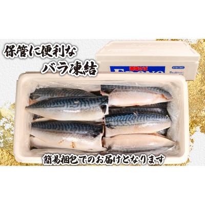 ふるさと納税 銚子市 訳あり 適塩さば 約5kg |  | 02
