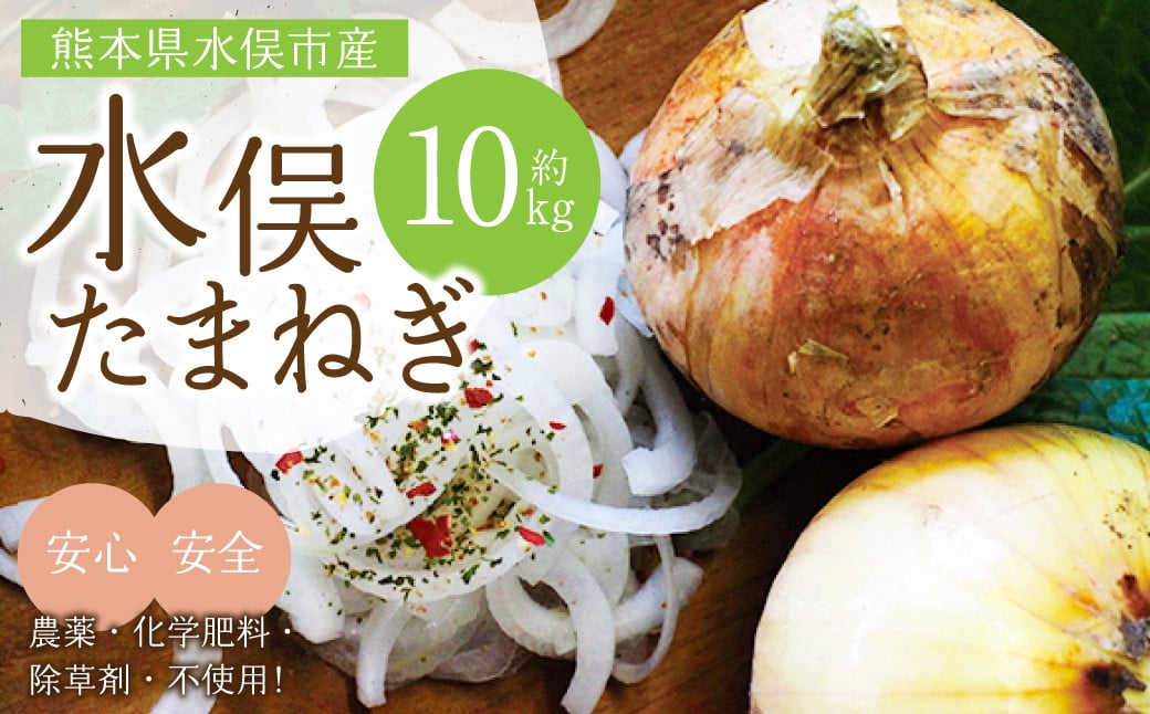 水俣 サラダ玉ねぎ 10kg 野菜 タマネギ サラダ 天ぷら 【2026年4月下旬〜5月下旬発送】