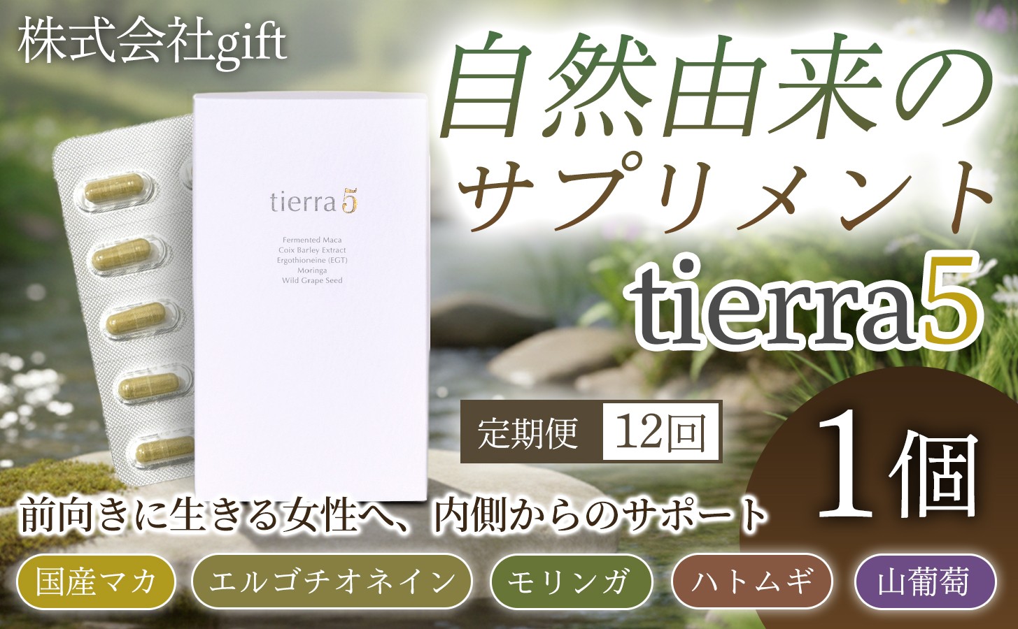 
                  【定期便12ヶ月】tierra5（1個）1セット×12回 【素材の力を、丁寧に届ける】 マカサプリ  国産マカ 酵素分解マカ 植物由来成分 カプセルサプリ 日本製サプリ 女性向け モリンガ ハトムギ 山葡萄種子 エルゴチオネイン 栄養補助食品
                