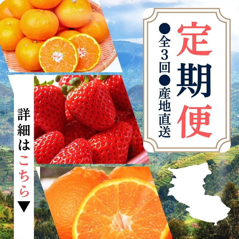 
【定期便】●全3回● 産地直送 定期便【温州みかん・まりひめ・紀州デコ】 / フルーツ 果物 みかん いちご 旬 定期便
