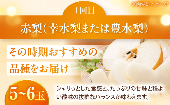 【先行予約】【3回定期便】梨・ぶどう・柿 旬のフルーツ定期便 ＜2026年8月中旬から発送＞【北海道・沖縄配送不可】 ／かき カキ ブドウ 葡萄 梨 なし ナシ 和梨 果物 フルーツ 国産 産地直送【