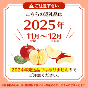 【2回定期便】山形牛＆りんご コース（2025年10月以降お届け） 山形県 東根市 　hi999-030-1