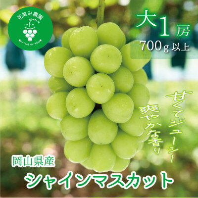 【ふるさと納税】【2026年先行予約】岡山　花笑み農園の『シャインマスカット』700g以上(大1房)S-大1_ シャインマスカット 700g 大房 1房 ぶどう 贈答 ギフト フルーツ 果物 岡山県 津山市 【配送不可地域：離島】【1695384】