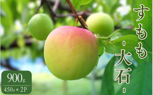 
                  先行予約 すもも（大石）900g ※5月下旬～6月中旬頃に順次発送予定【期間限定・2027/5/31まで】 / スモモ お取り寄せ 期間限定 夏 フルーツ 果物 和歌山県 田辺市【mtm010-2】
                