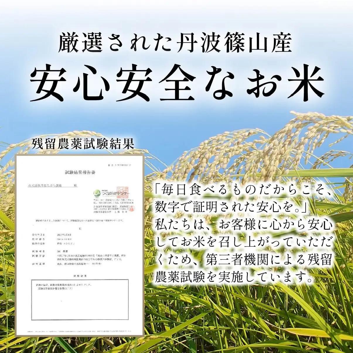 玄米 定期便 新米 丹波篠山産 特別栽培米コシヒカリ 30kg×3回 定期便 玄米