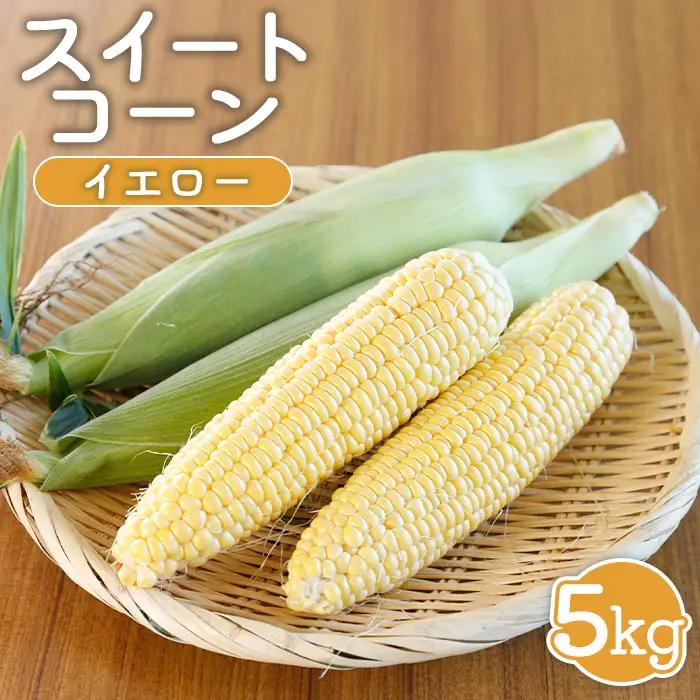 【先行受付】 スイートコーン（イエロー）5kg【令和8年8月1日頃～31日頃発送】【1202002】