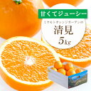 【ふるさと納税】ミヤモトオレンジガーデンの「清見5kg」【D25-126】【1268370】