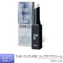 【ふるさと納税】THE FUTURE ( ザフューチャー ) リップケアクリーム / 1.5g カラーレス メンズ コスメ リップ 父の日