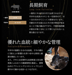 牛肉 黒毛和牛 平井牛一頭分 牛肉