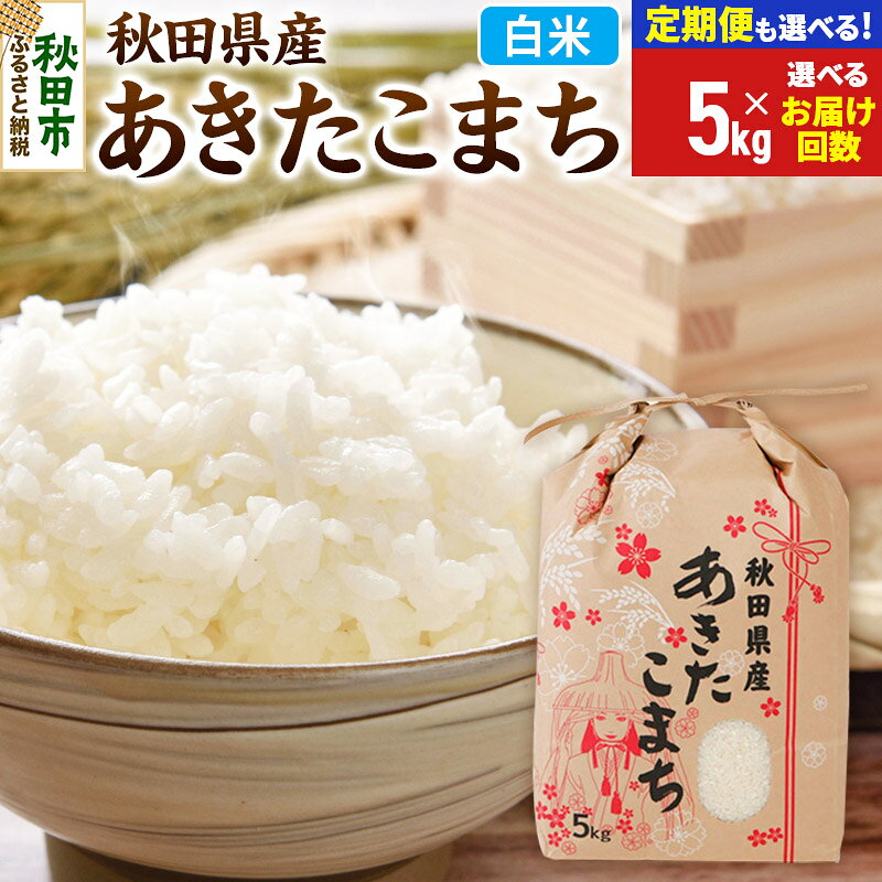 【ふるさと納税】《令和8年産》あきたこまち 5kg【白米】【選べるお届け回数(定期便)】秋田県産 こまちライン お米 新米 [秋田 お米 米どころ あきたこまち こまちライン]