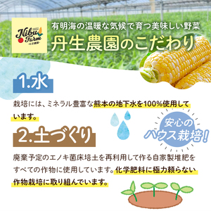 【定期便2回】ミニトマト 約1.5kg ＆ スイートコーン 10本