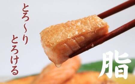 訳あり トロ サーモン ハラス 約3kg （約1kg×3） アトランティックサーモン サーモンハラス トロサーモン サーモン 鮭 さけ しゃけ 規格外 小分け 個別冷凍 冷凍 真空 真空パック お弁当