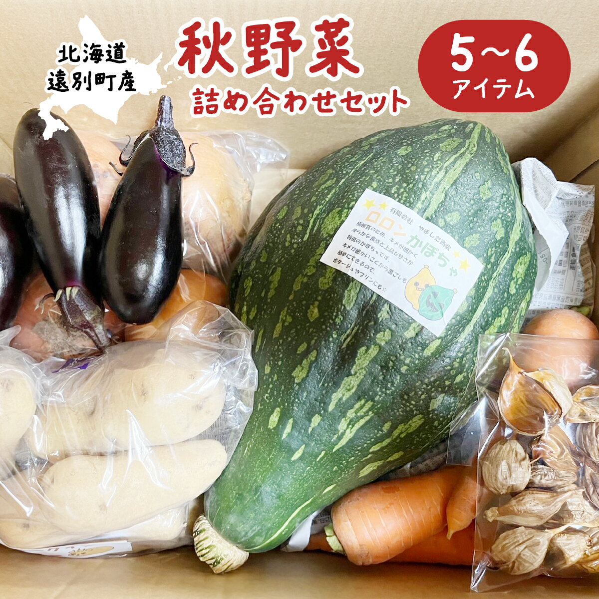 【ふるさと納税】【2025年9月末〜順次発送予定】秋野菜詰め合わせセット 野菜 ナス 玉ねぎ カボチャ じゃがいも メークイン ニンニク にんじん 北海道 遠別町