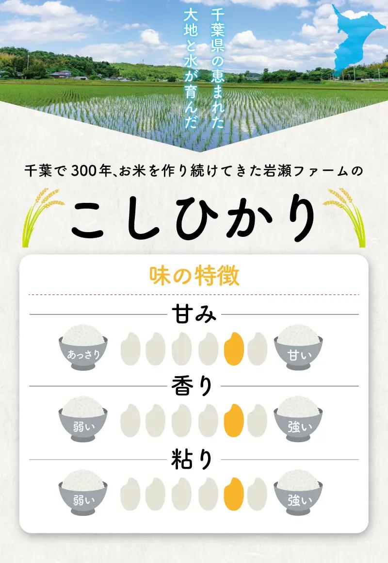 新米【9月以降発送】コシヒカリ10kg｜新米