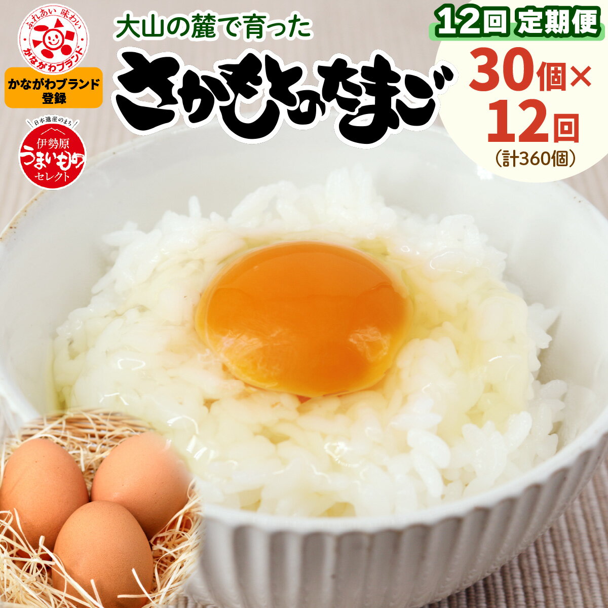 【ふるさと納税】[定期便／30個×12回] [合計360個] 坂本養鶏 大山の麓で育ったさかもとのたまご｜赤玉卵 玉子 鶏卵 産直 卵かけご飯 たまご タマゴ [0097]
