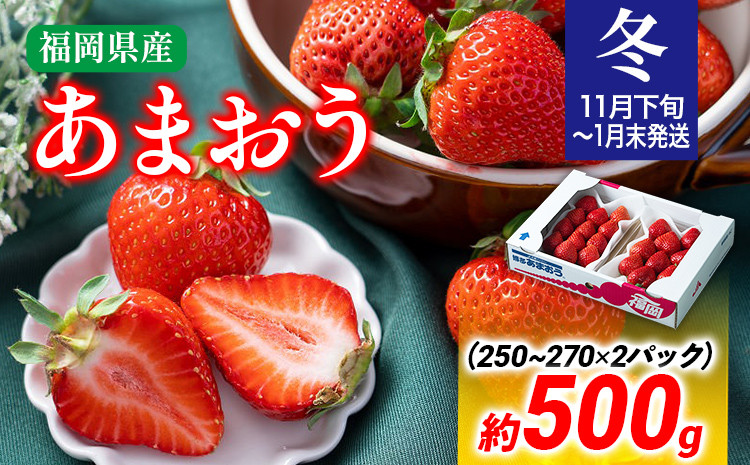 
【冬】あまおう 約500g いちご 苺 果物 フルーツ 冷蔵 送料無料 ※北海道・沖縄・離島は配送不可 大木町産 南国フルーツ CO001
