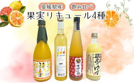 リキュール 果実系 飲み比べ 4本セット 梅酒 ゆず みかん レモン 河内晩柑 伊予柑 アルコール お酒 愛媛県｜C26