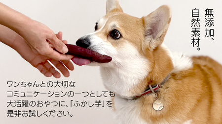 【12ヶ月定期便】動物 ペットおやつ ペット用 ふかし芋 小芋 紅はるか 芋 いも おやつ 動物 ペットフード 犬 猫 間食 ヘルシー オヤツ 4kg [AU126ya]