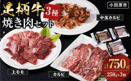
            足柄牛3種焼肉セット（カルビ　上モモ　中落カルビ各250ｇ）【 肉 国産  神奈川県 小田原市 】
          