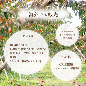 Umai 柿 富有 極 3玉 ｜柿 柿 柿 柿 柿 柿※2025年11月中旬～12月中旬頃に順次発送予定